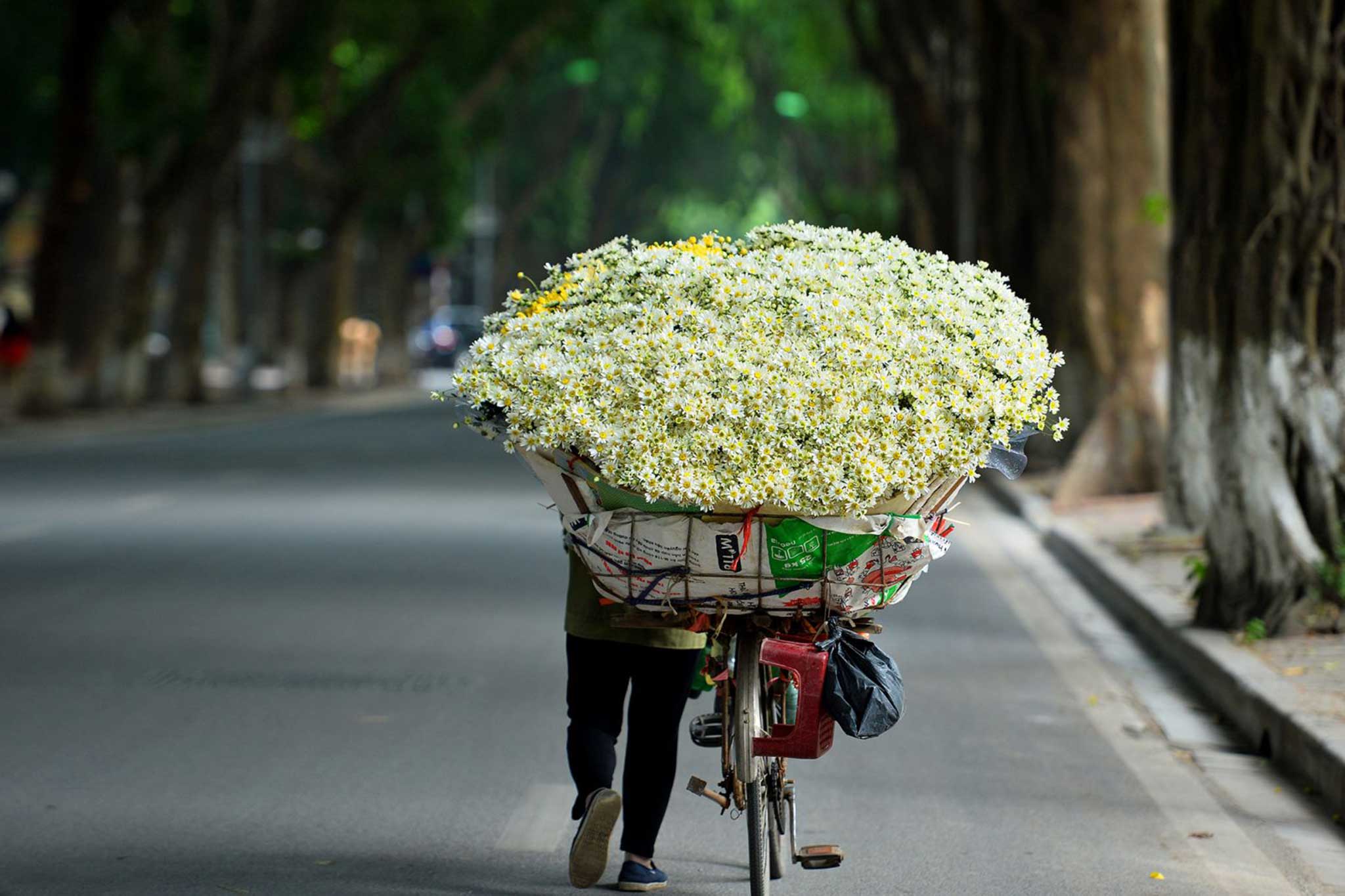 Hanoi Street 
