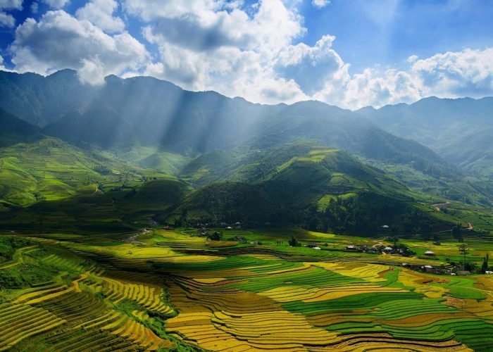 Vietnam Terraced Field