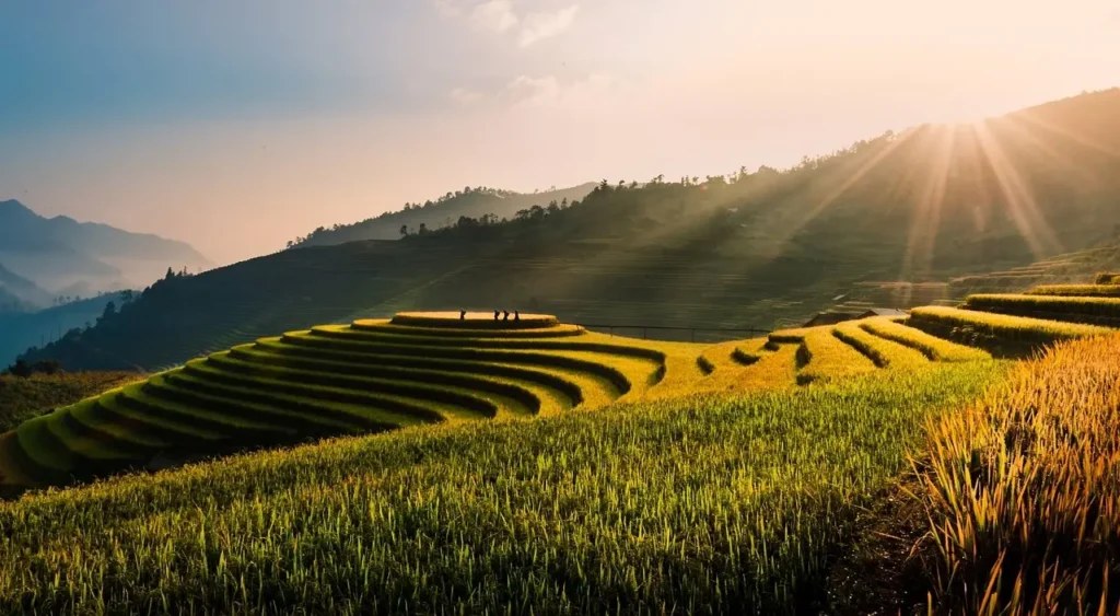 Sapa