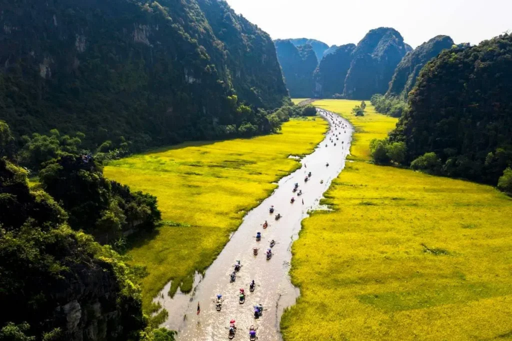 Tam co ninh binh