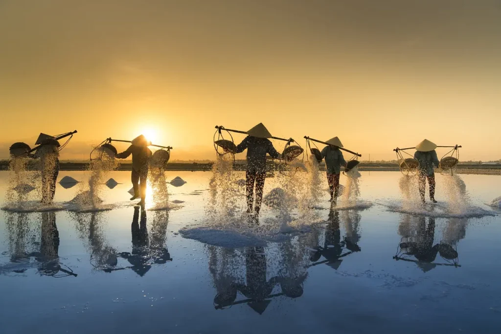 Vietnam salt field