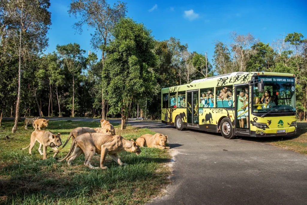 Vinsafari phu quoc 1
