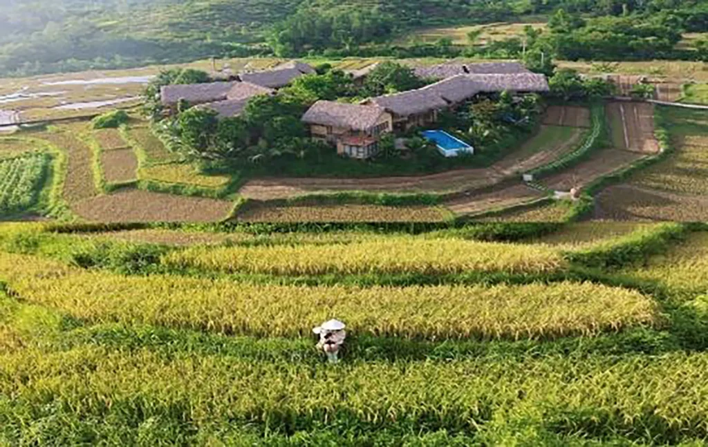 Vnh pu luong 02