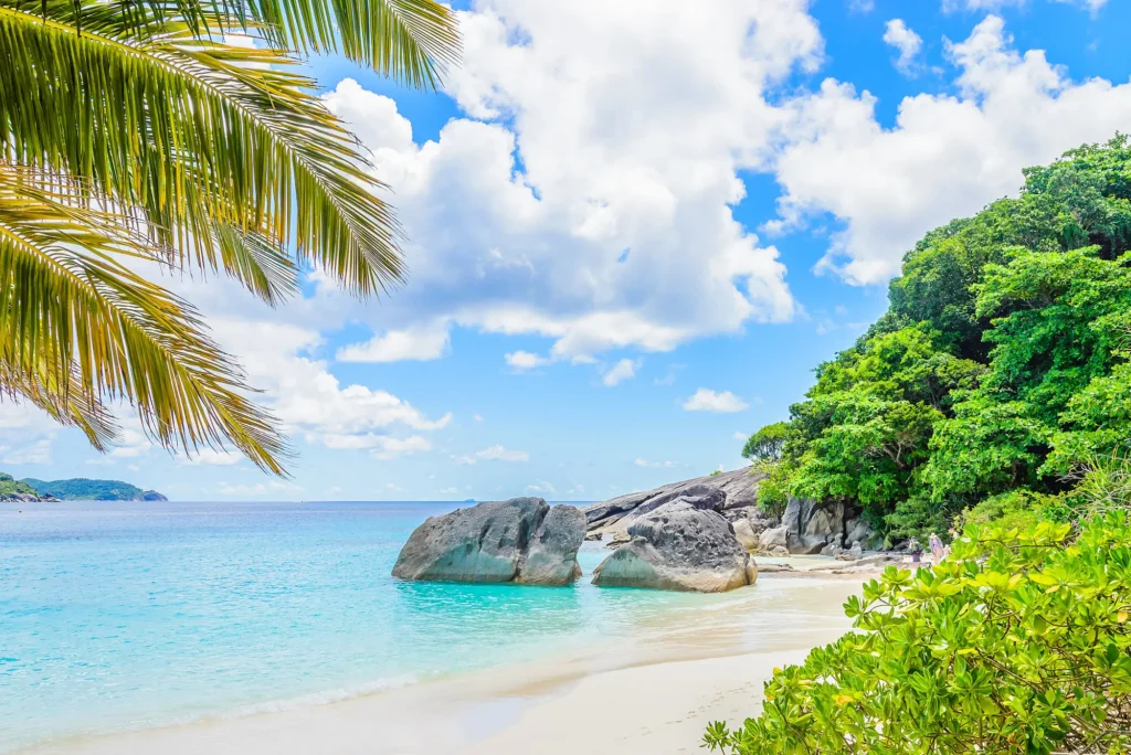 Beautiful tropical beach