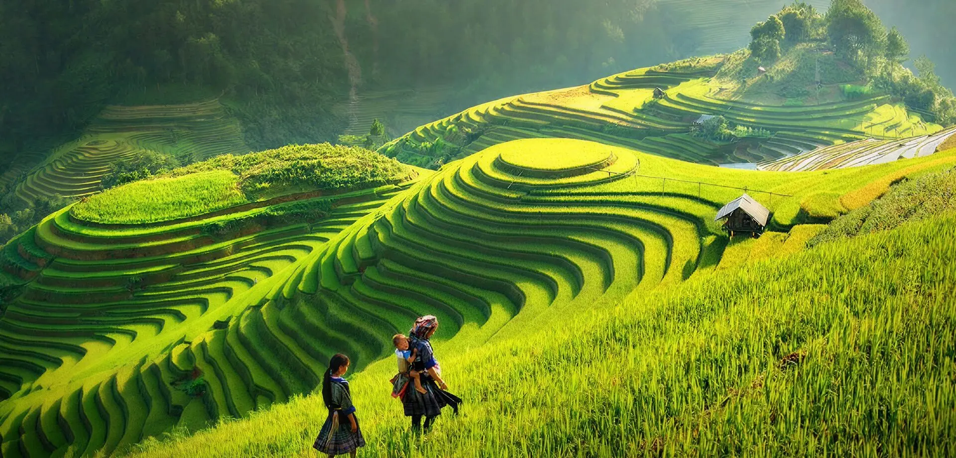 Australian-owned & operated Mu Cang Chai, Vietnam