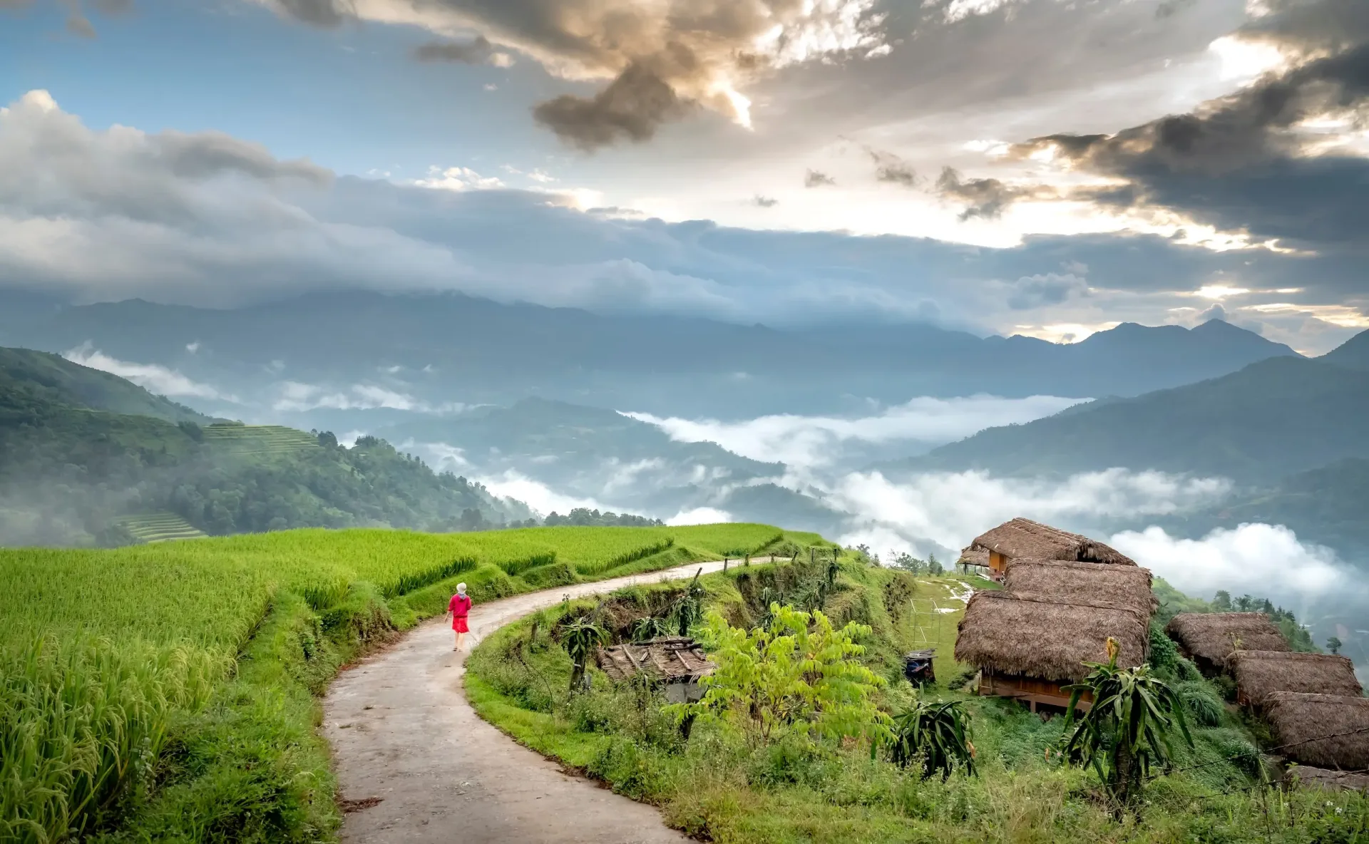Sapa VN majd