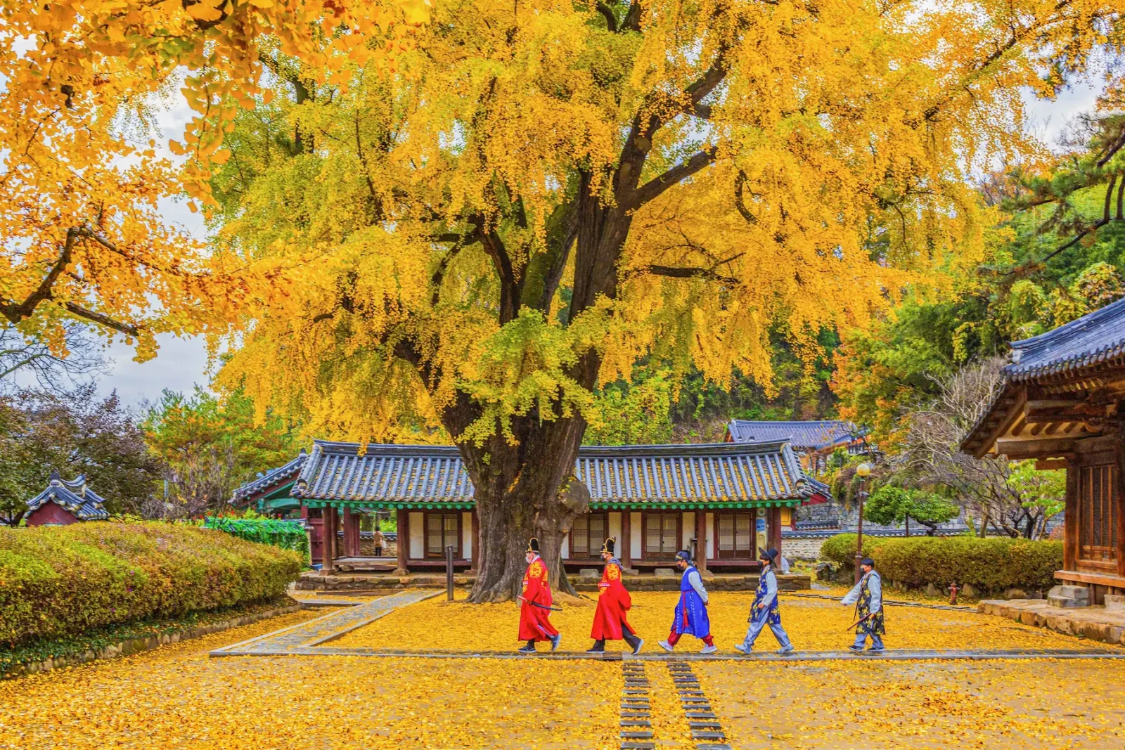 7 Days Discover Round Korea